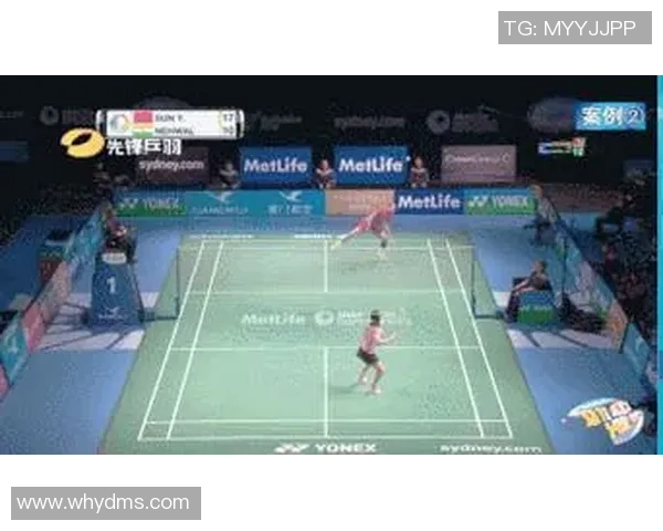 西安羽毛球队控制打法的深度分析与战术探讨